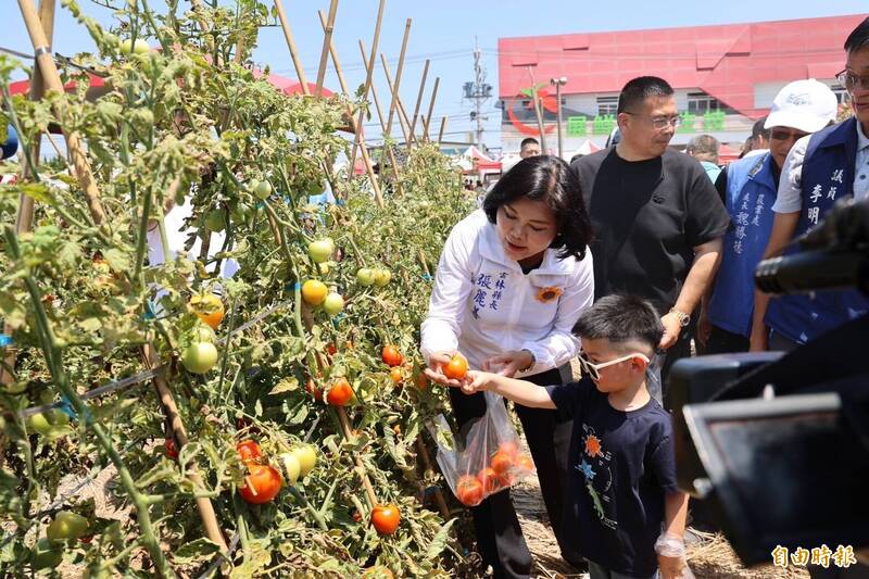 縣長張麗善（左）與小朋友一起採番茄（記者李文德攝）