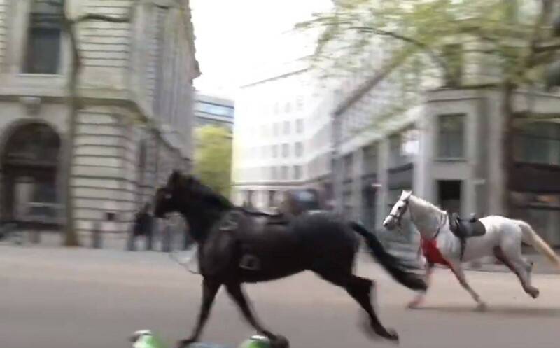 英国今早有数匹军马因受惊吓失控，于伦敦市中心狂奔6英里。（撷自「x」/@CensoredMen）(photo:LTN)