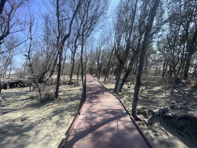 台江國家公園網仔寮汕步道。(圖由台江處提供) 台江國家公園網仔寮汕步道。(圖由台江處提供)