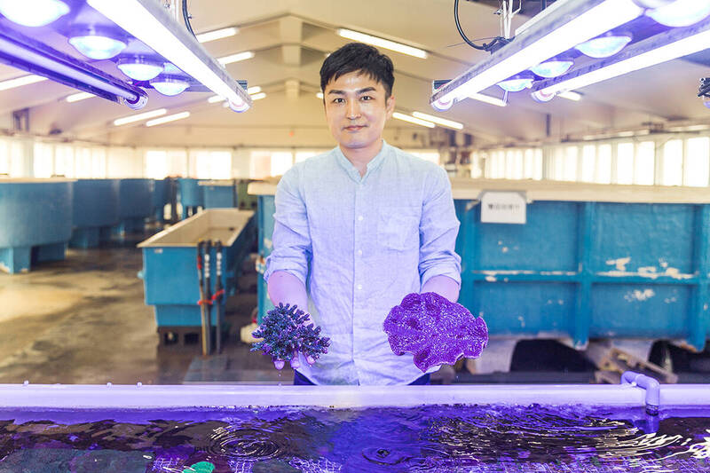 海大教授識名信也在臺灣東北角建立「珊瑚農場」。(海洋大學提供) 海大教授識名信也在臺灣東北角建立「珊瑚農場」。(海洋大學提供)