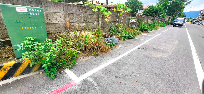 埔里鎮大城路路邊停車格標線劃設不完備，停車格內有大量雜物。（民眾提供）