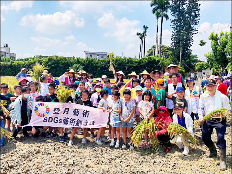 大湖國小學童下田割稻，體驗早期農人的辛苦。（記者顏宏駿攝）