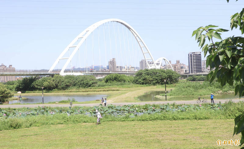 新月橋下的新海人工溼地。（記者董冠怡攝）