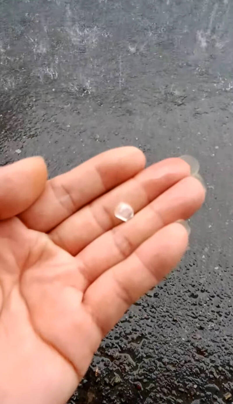 草屯鎮7日雷雨強風夾帶冰雹,冰雹不大。(楊凱翔提供) 草屯鎮7日雷雨強風夾帶冰雹,冰雹不大。(楊凱翔提供)