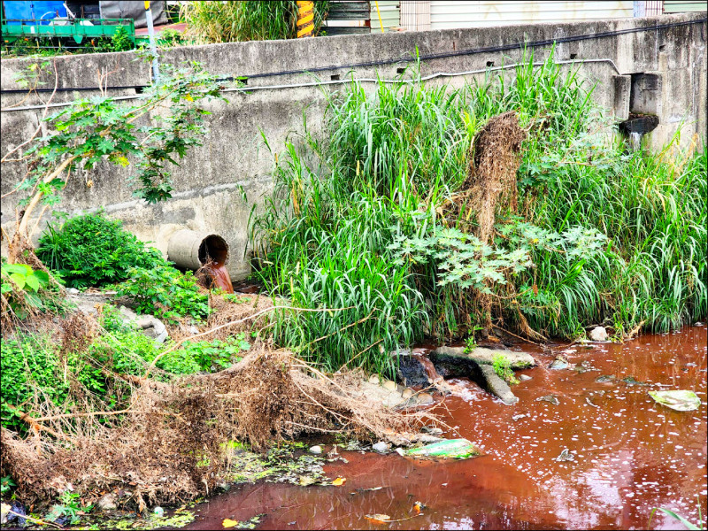 東螺溪沿岸污染嚴重，圖為廢污水排放的畫面。（民眾提供）