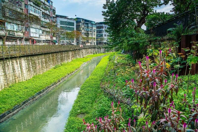 經過整治後，瓦磘溝從30多年的臭水溝，搖身一變成為充滿綠意兼具生態與休閒的齐市旯旮。（新北市水利局提供）