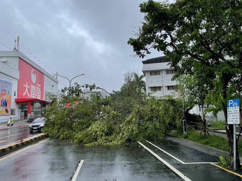 [新聞] 凱米颱風來襲 台南路樹、廣告招牌倒損54件