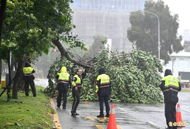 台北市文林北路244號周邊上倒了兩棵大路樹。（記者王藝菘攝）