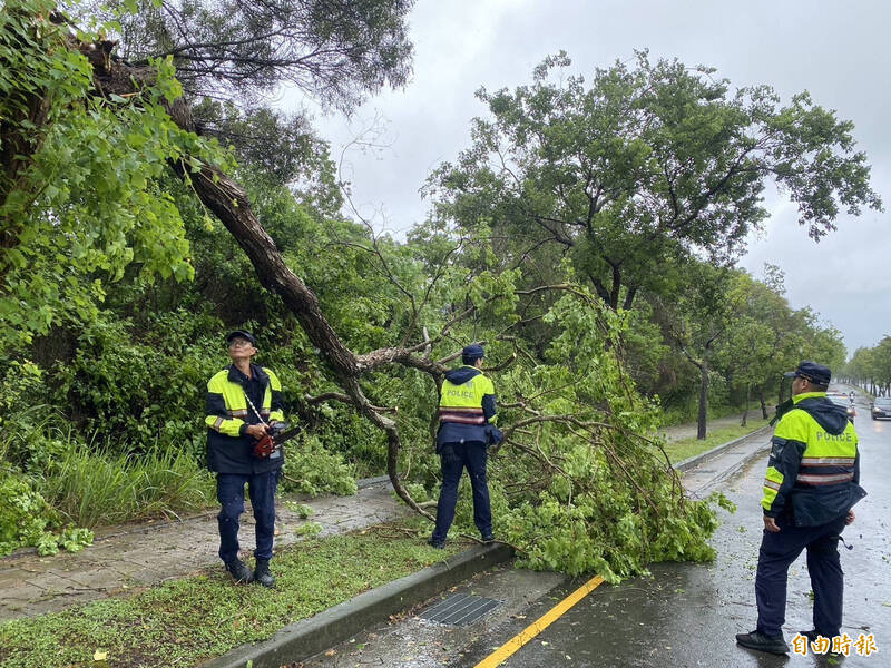 台中市向上路5段路樹倒塌，春社派出所員警趕往移樹。（記者黃旭磊攝）