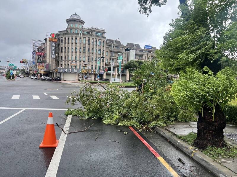 強烈凱米颱風來襲，嘉市發生路樹傾倒。（嘉市消防局提供）