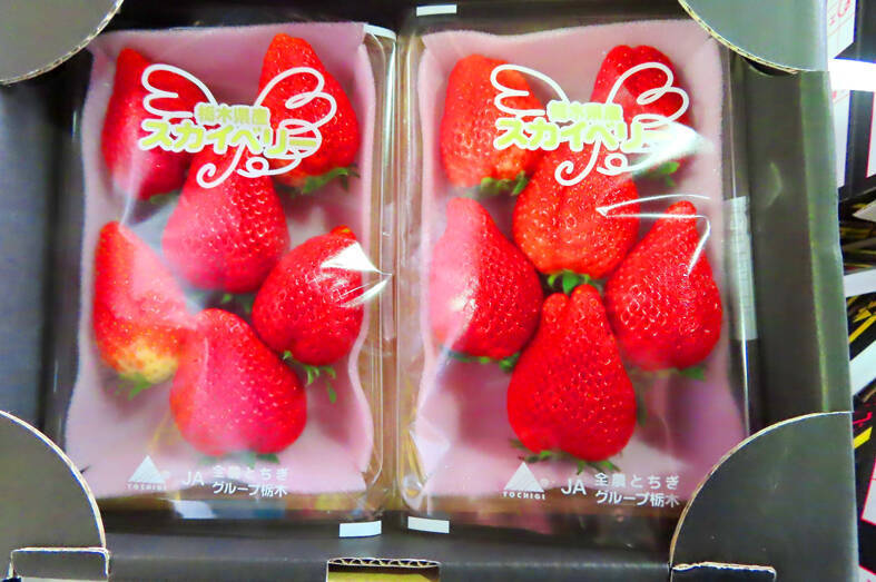 Two packs of strawberries from Japan’s Tochigi Prefecture seized due to excessive levels of pesticide residue are pictured in Taipei on April 19, 2022.
Photo courtesy of the Food and Drug Administration