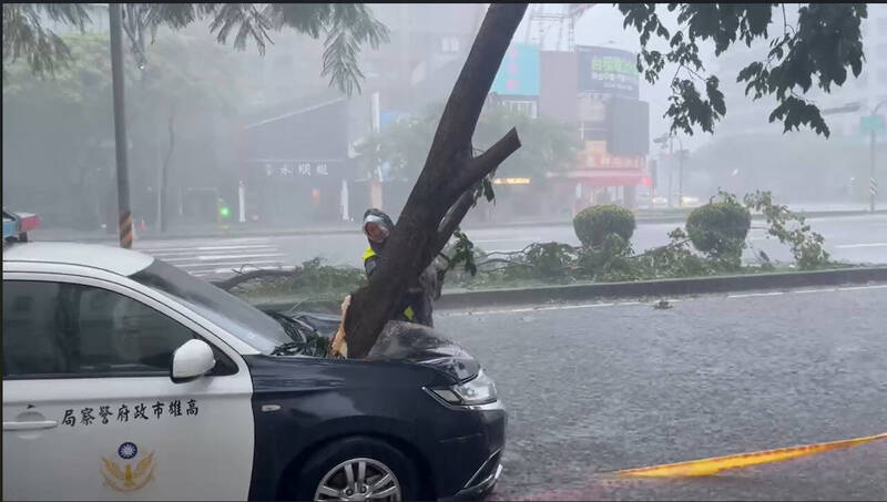 高雄龍華派出所警車遭吹倒的樹幹直接插入引擎蓋內。（民眾提供）