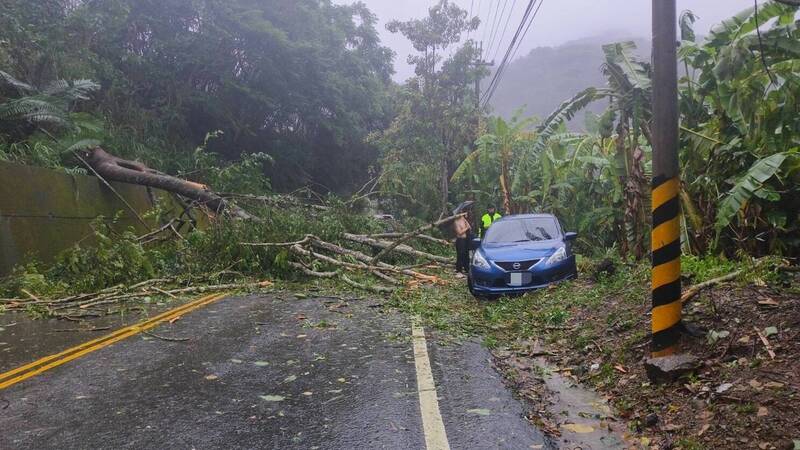 凱米颱風吹倒台21線路樹 ，一部轎車受困。（記者張軒哲翻攝）