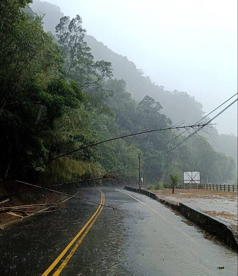 苗栗縣苗62線大湖段已開放通行，惟沿線有竹枝傾倒情形，大湖鄉長黃惠琴提醒民眾行經應小心注意。（圖由黃惠琴提供）