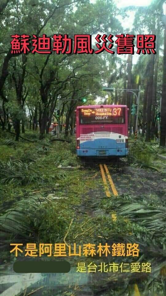 台北市公園處表示，仁愛路行道樹落葉、枝枒滿地，一輛公車行駛其中的照片，是蘇迪勒舊照。（台北市公園處提供）