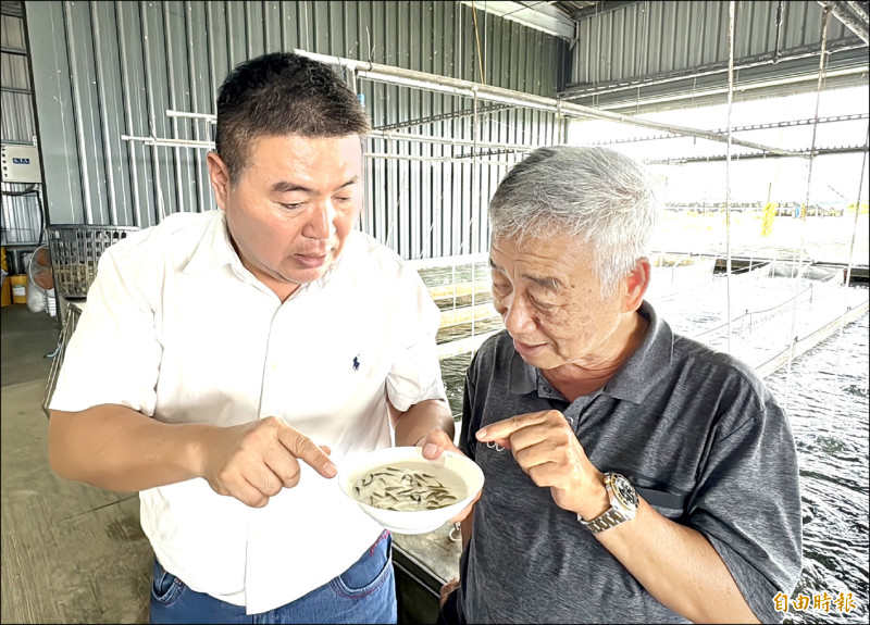 神農獎得主林篤毅（左）從烏魚子職人斜槓台灣鯛魚苗之王。其團隊生產的台灣鯛魚苗市占率逾七成，穩居全國第一。（記者蔡宗勳攝）