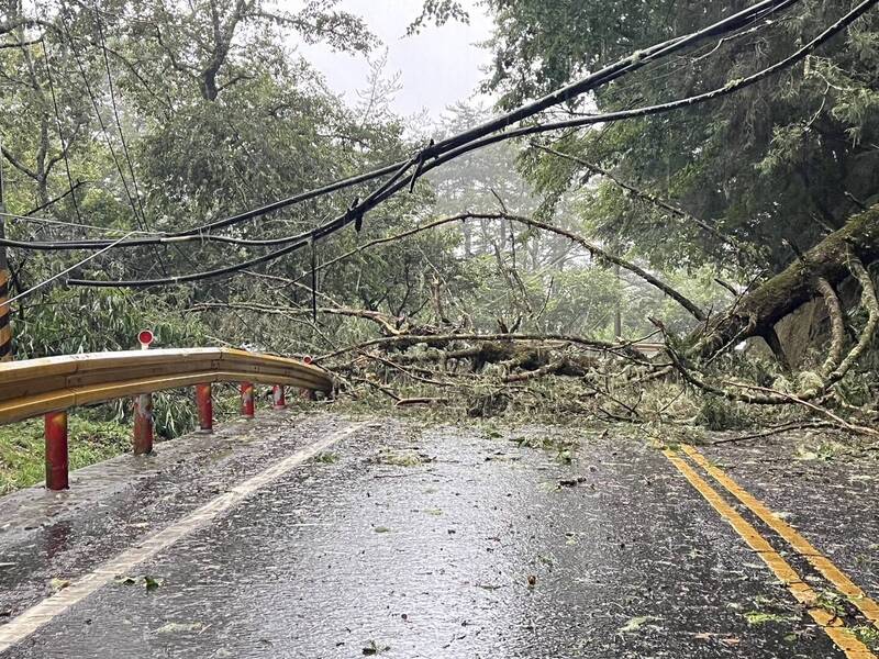 凱米颱風強風豪雨，造成梨山地區多處路段坍方。（交通局提供）