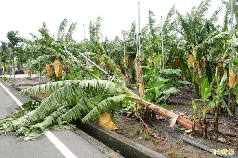 凱米颱風農損累計16.7億  屏東縣3.7億元最高