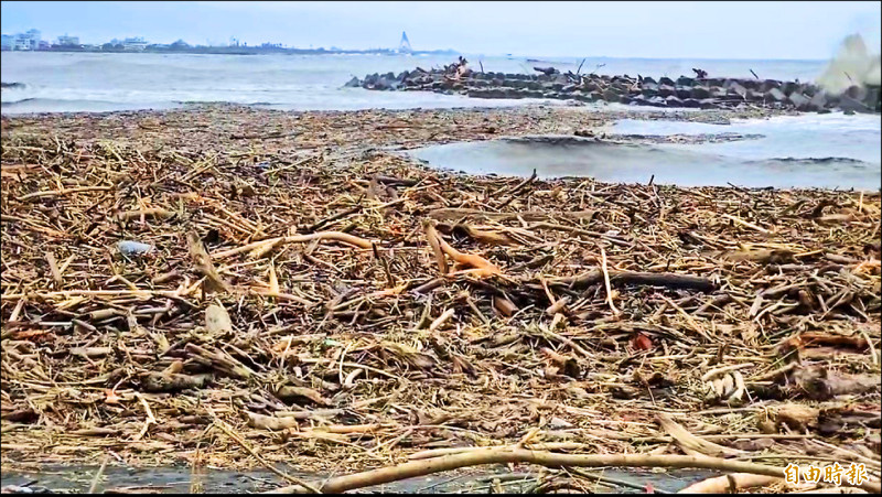 漂流木塞爆林園區月牙灣。（記者洪臣宏攝）