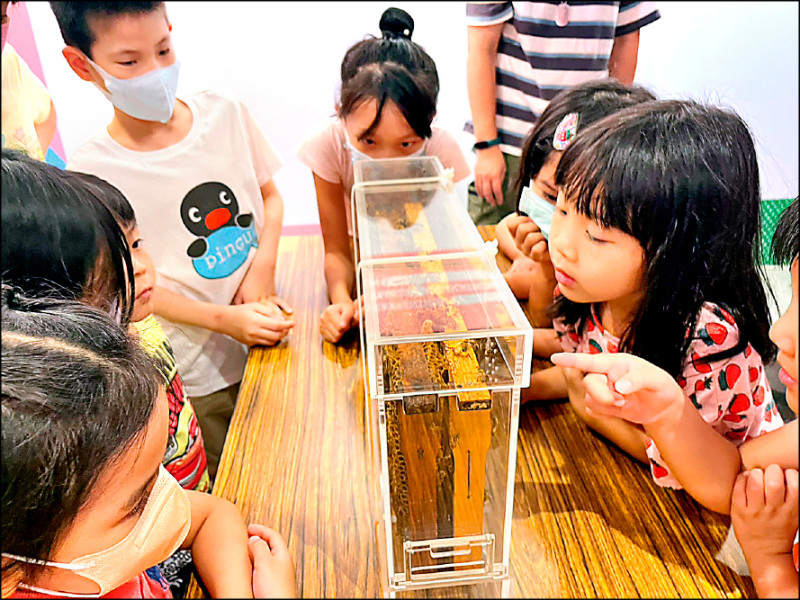 新北市食農教育展今天起登場,以生態保育、友善耕作為主軸。(新北農業局提供) 新北市食農教育展今天起登場,以生態保育、友善耕作為主軸。(新北農業局提供)