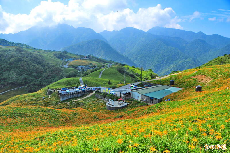 六十石山金針花海美景，今年共留花25公頃。（資料照，記者花孟璟攝）