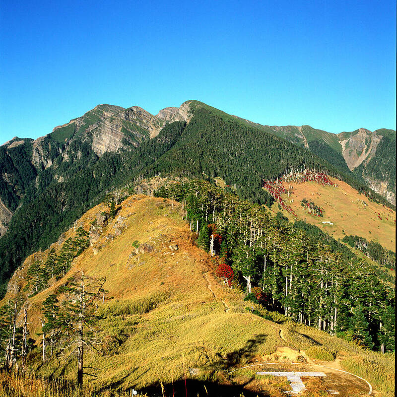 雪山西稜線自8月6日起開放。（圖由雪管處提供）