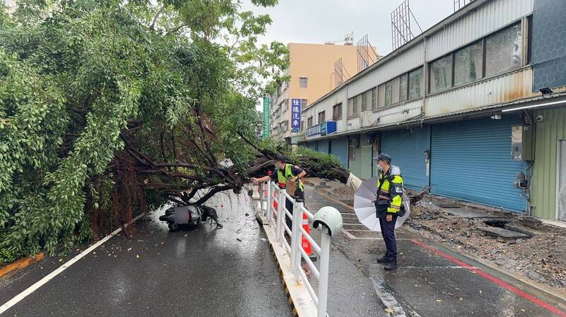 高雄今下大雷雨造成路樹傾倒，陳姓婦人撞樹受傷，幸好工程護欄擋住，陳婦保住一命。（讀者提供）