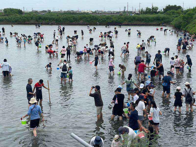 遊客們在蛤蜊養殖池體驗「摸蛤仔兼洗褲」。（民眾提供）