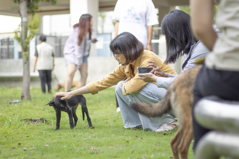 台中市動物處請專業攝影教民眾如何拍毛小孩（市府提供）