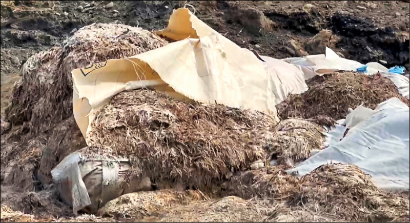 雲林縣西螺鎮濁水溪公有河川地遭不法業者傾倒動物性廢渣，一地雞毛惡臭難聞。（雲林縣警察局提供）