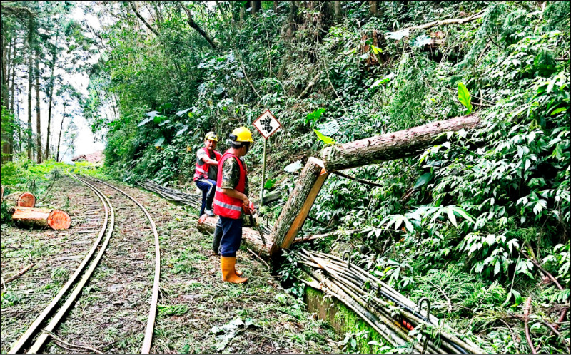 阿里山林鐵本線只剩兩處搶修中，八月底可以恢復通車。（林鐵及文資處提供）