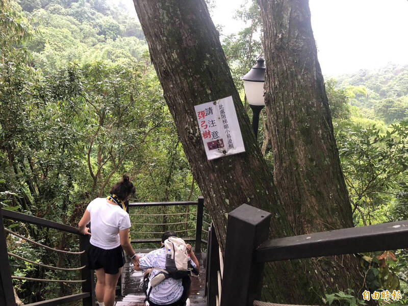 9-1號步道雖親民，但途中有一小段階梯突然縮小，常有不熟悉民眾滑倒甚至受傷。（記者許國楨攝）