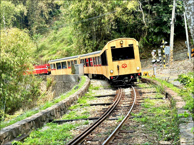 阿里山林業鐵路本線將於8月31日恢復營運。（資料照）