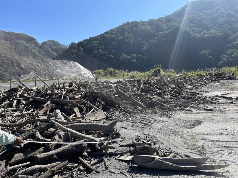 凱米颱風沖刷下來的漂流木，此次開放撿拾區域在濁水溪流域，雲林和彰化縣已公告開放，南投縣擬於本週公告開放。此為漂流木示意照，非濁水溪流域的漂流木。（資料照）