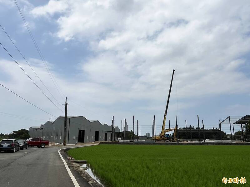 新竹縣湖口鄉長嶺村農地出現連棟鐵皮屋，民眾向縣府檢舉違建。（記者廖雪茹攝）