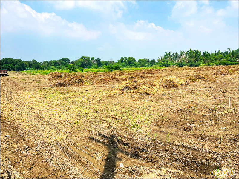 環保科技公司將在元長建置的堆肥場預定地，占地約1.8公頃。（記者黃淑莉攝）