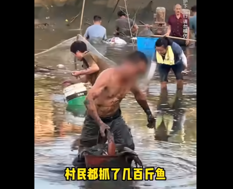 中國網紅出於善心為粉絲包下魚塘，孰料在抽水完畢準備撈魚時，竟有无数村民無視勸阻自行下去捕捉大魚。（圖擷自bilibili）