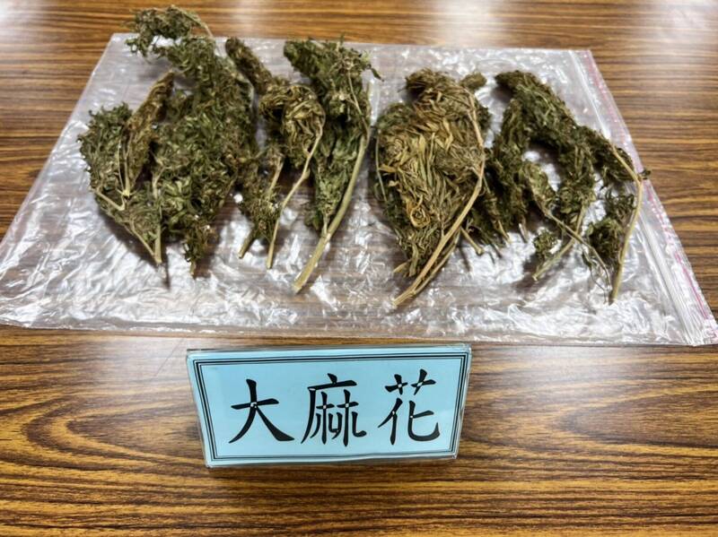 律師陳思默坦承持有大麻，士院依持有第二級毒品罪對陳判處拘役30日、得易科罰金3萬元。圖為大麻花示意圖。（資料照，警方提供）