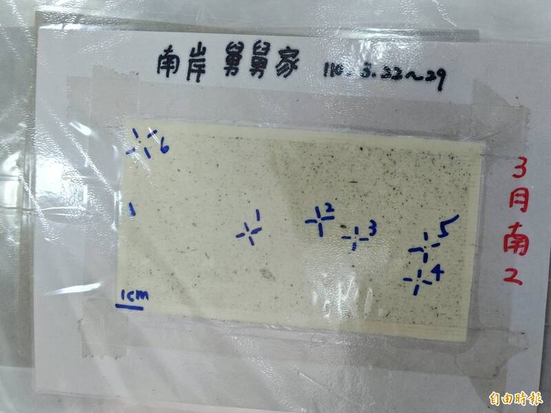 南州國小利用撒隆巴斯貼布蒐集落塵，歷時2年半共用了450片。（記者陳冠備攝）