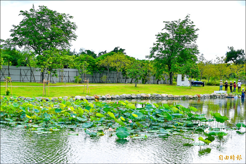 台東森林公園生態池 放流原生種魚