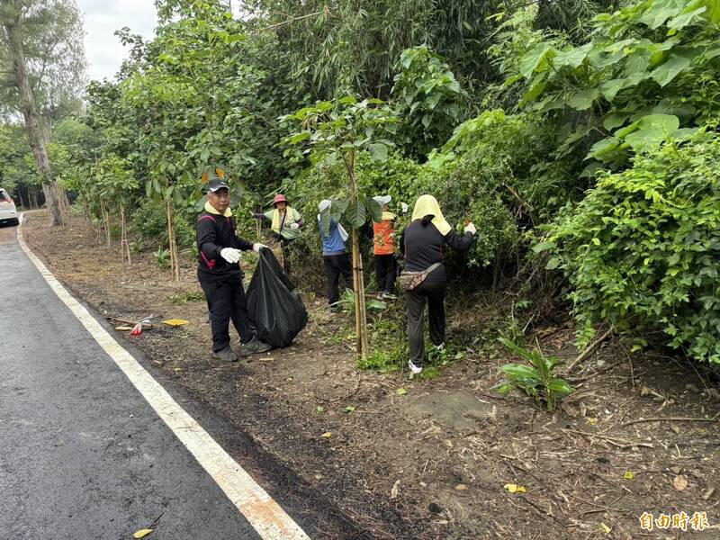 二崙四番地社區上百民居民一起動手，清除四番地保安林地內的小花蔓澤蘭。（記者黃淑莉攝）