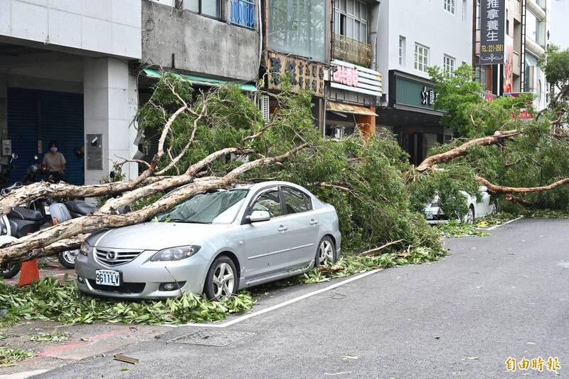 山陀兒颱風吹倒許多路樹，多部汽機車因而受損。（記者李惠洲攝）