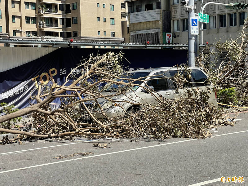 山陀兒颱風肆虐高雄地區造成2000多株路樹倒塌，路邊停車格內愛車慘遭斷樹、招牌砸壓，拍照舉證可撤單免繳停車費。（記者黃良傑攝）