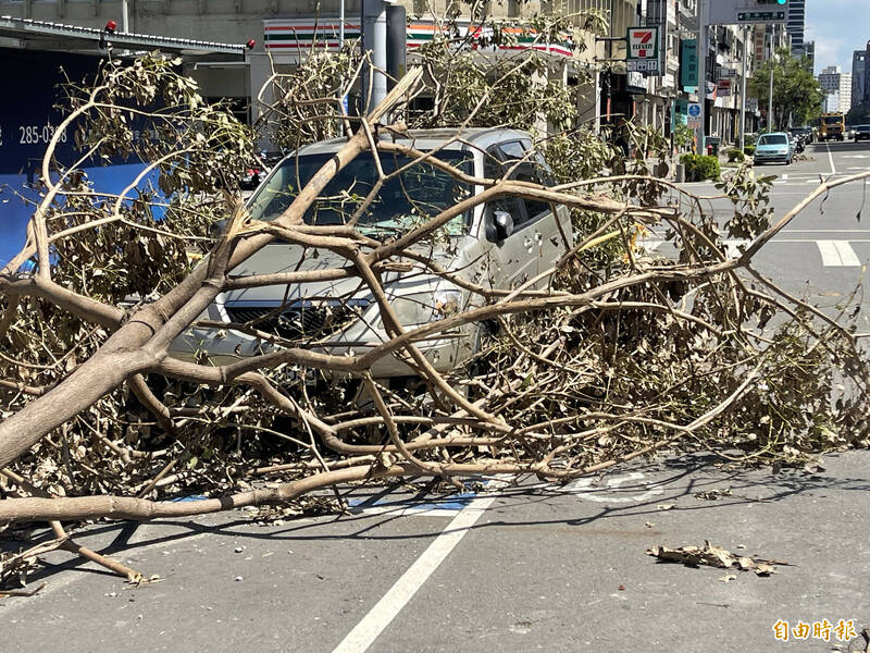 山陀兒颱風肆虐高雄地區造成2000多株路樹倒塌，路邊停車格內愛車慘遭斷樹、招牌砸壓。（記者黃良傑攝）