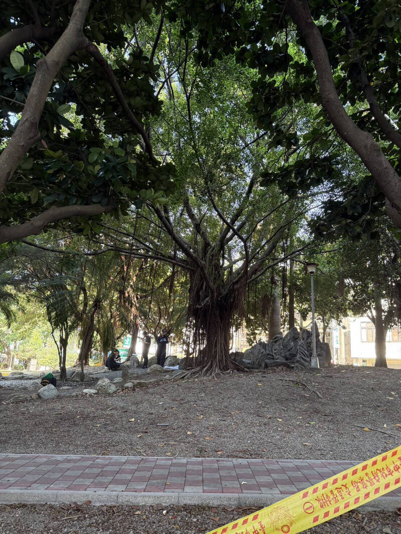 台中市北區英士公園晨運民眾發現中年男子陳屍大榕樹下。（民眾提供）