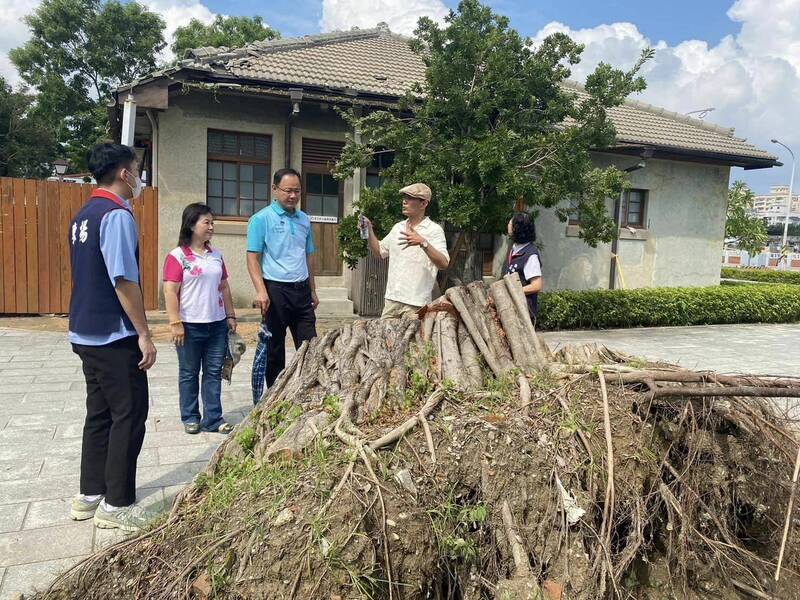 勝利星村樹木倒塌，建築物的屋瓦也受損。（圖:陳揚提供）