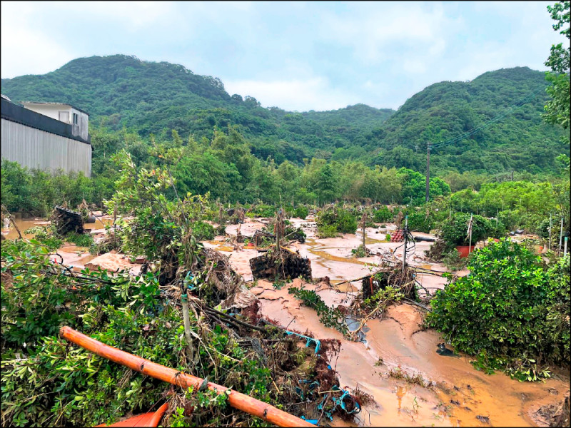 三芝、萬里、金山為農業天然災害現金救助地區。（新北市農業局提供）