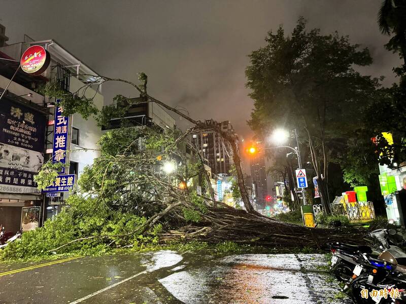 山陀兒颱風害高雄路樹倒成一片，圖為國小人行道的路樹傾倒佔據整條馬路。（資料照，記者許麗娟攝）