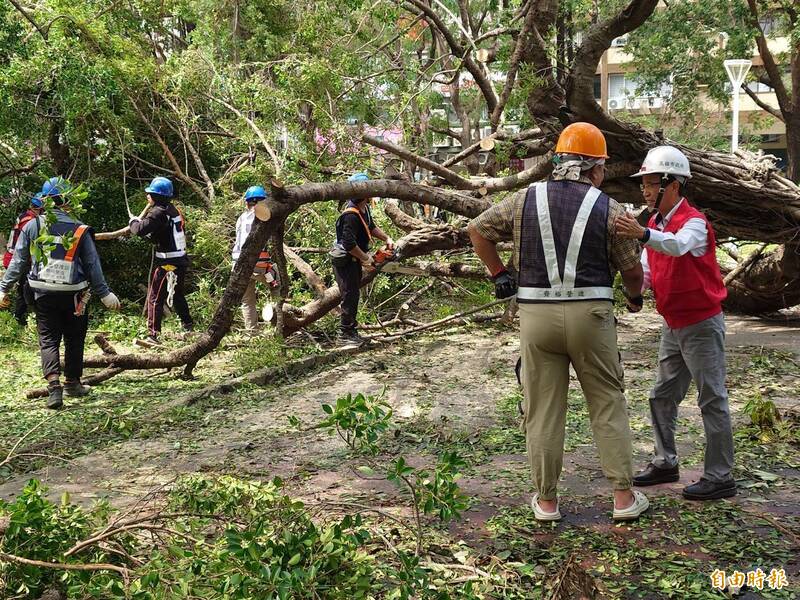 高雄有830幾座公園，連日來先針對道路及大型公園進行斷樹殘枝清理，明天起會陸續清理社區的小型公園。 （記者葛祐豪攝）