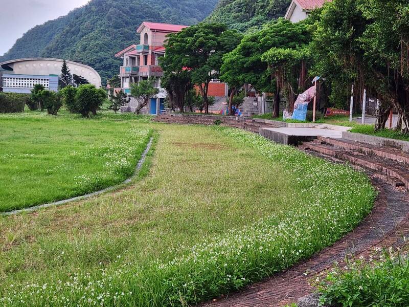 宜蘭縣南安國中的跑道與操場雜草叢生，一片荒廢景象，被民眾與遊客質疑廢校了嗎？（記者游明金攝）